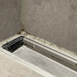 Mugg i fuger på bad: før Mugg i fuger på bad: før